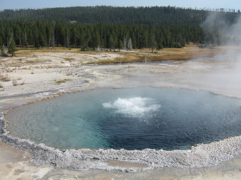 Daisy Geyser erupting