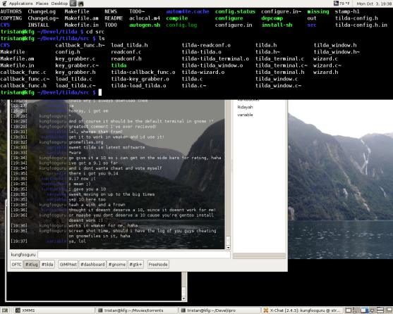 Tilda terminal screenshot
