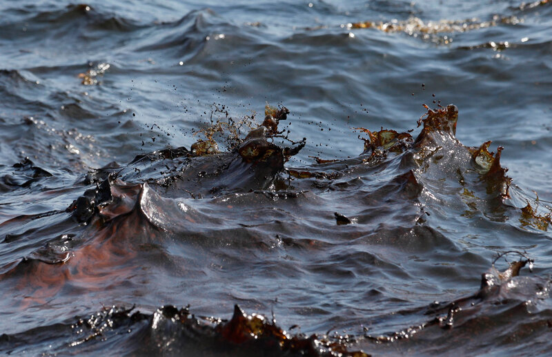 Oil spill in the Gulf of Mexico