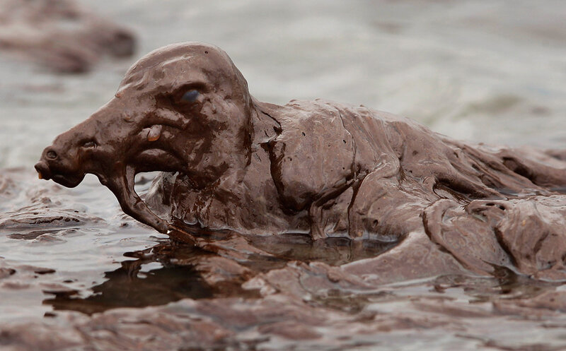Oil spill reaching shore