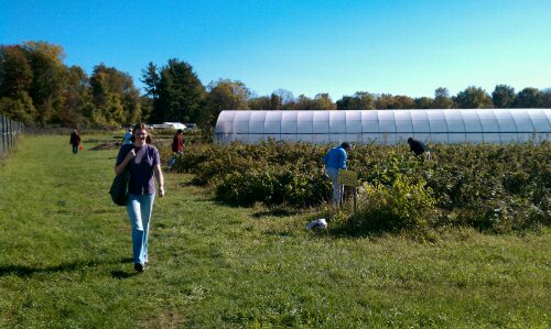 saturday morning at the farm