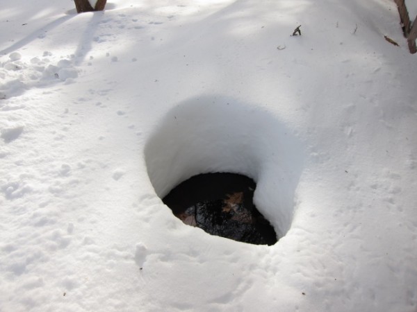 Blizzard of 2010