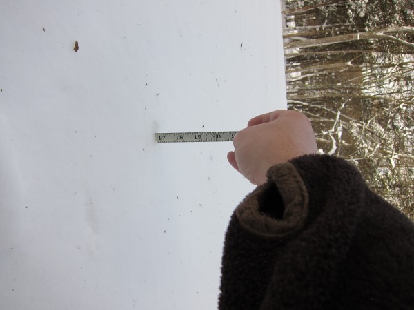 Blizzard of 2010