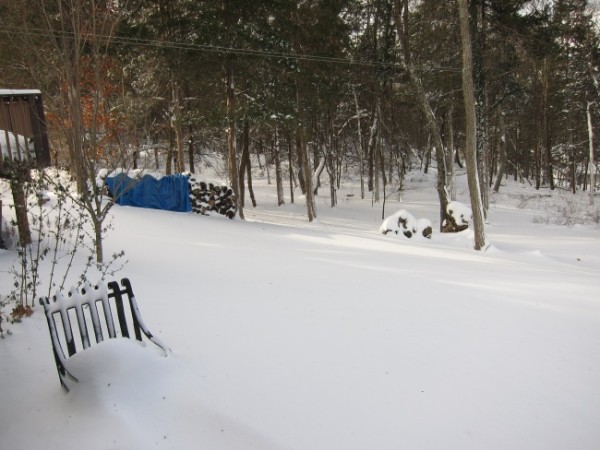 Blizzard of 2010