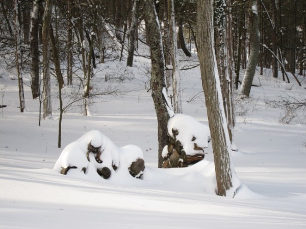 Blizzard of 2010