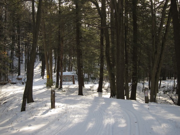 For Love Of Cross Country Skiing
