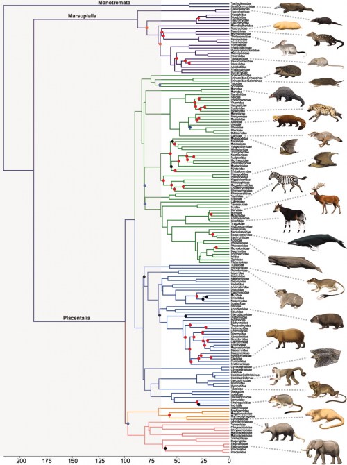 updated family tree