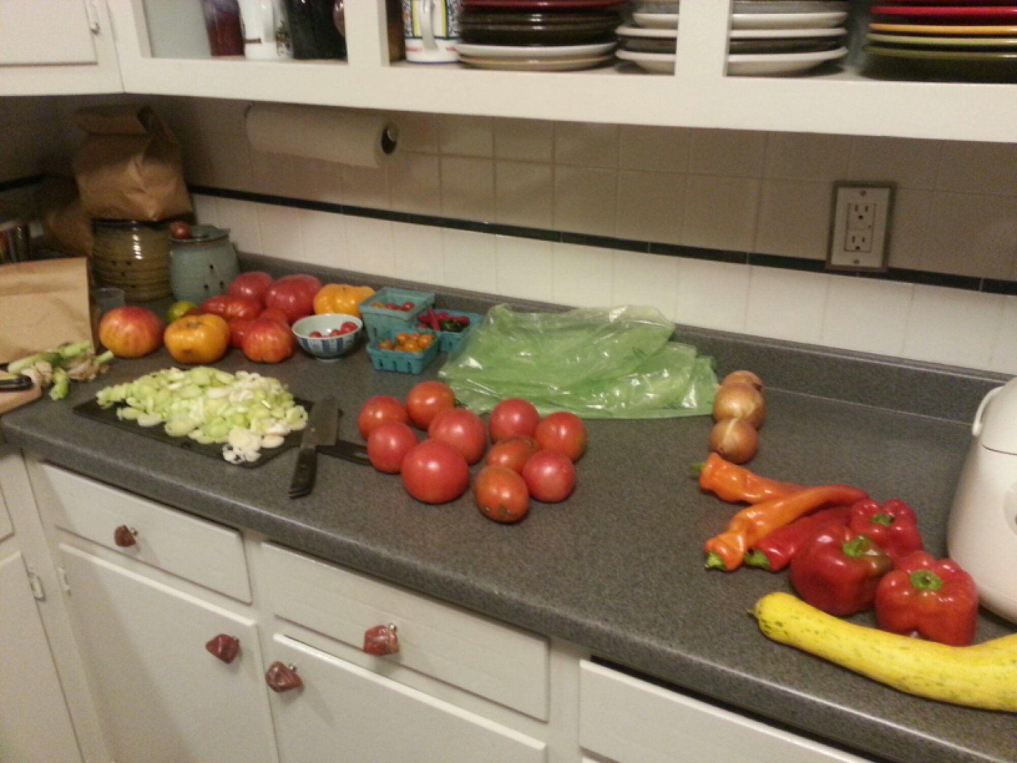 Harvest from the Poughkeepsie Farm Project