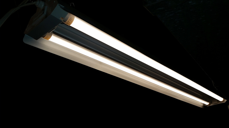 LED tube lights