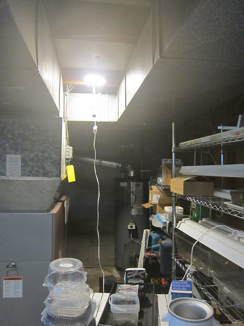 LED panel light in action